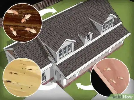 Imagen titulada Get Rid of Subterranean Termites Step 11
