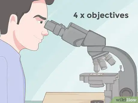 Imagen titulada Use a Microscope Step 12