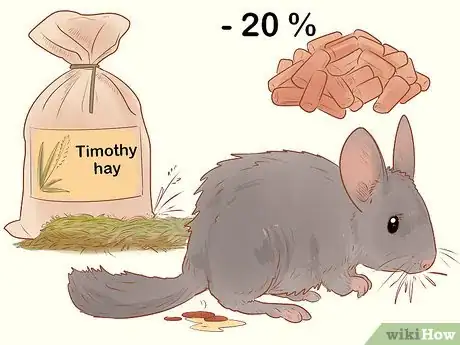 Imagen titulada Spot Signs of Illness in Chinchillas Step 9