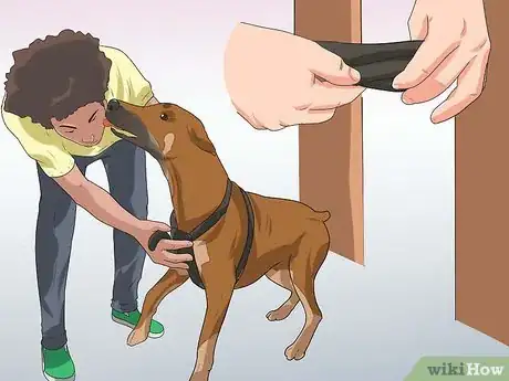 Imagen titulada Train Your Dog from Running out of Your House Step 11