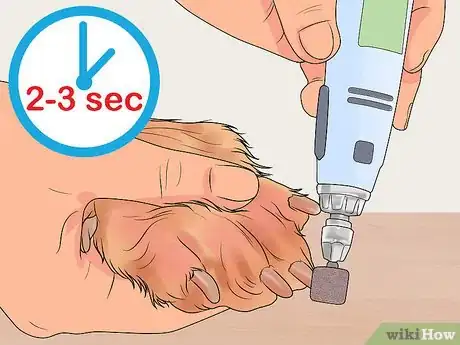 Imagen titulada File a Dog's Nails Step 7