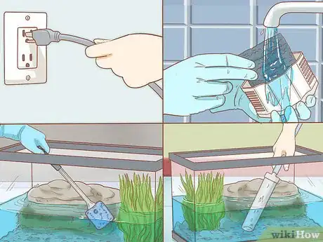 Imagen titulada Take Care of Baby Water Turtles Step 27