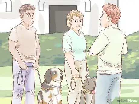 Imagen titulada Keep an Australian Shepherd Busy Step 10