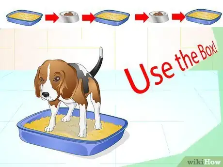Imagen titulada Litter Train a Dog Step 14
