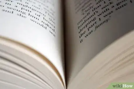 Imagen titulada Write a Bestseller Step 2