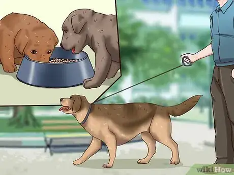 Imagen titulada Wean Puppies Step 4