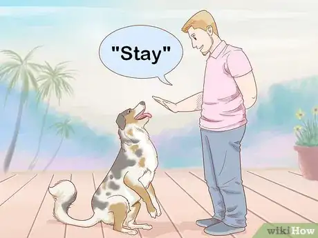 Imagen titulada Keep an Australian Shepherd Busy Step 11