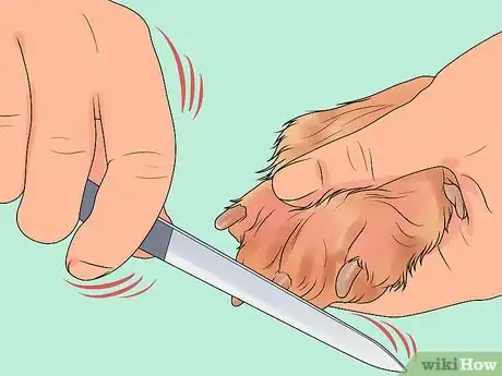 Imagen titulada File a Dog's Nails Step 3