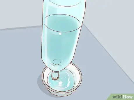 Imagen titulada Care for Your Pregnant Hamster Step 8