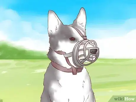 Imagen titulada Train a Puppy Not to Bite Step 9