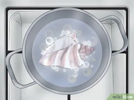 Imagen titulada Drill a Hole in a Seashell (Without a Drill) Step 6