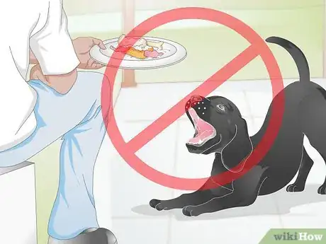 Imagen titulada Create a Feeding Routine for Your Dog Step 12