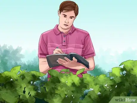 Imagen titulada Identify Trees by Leaves Step 8