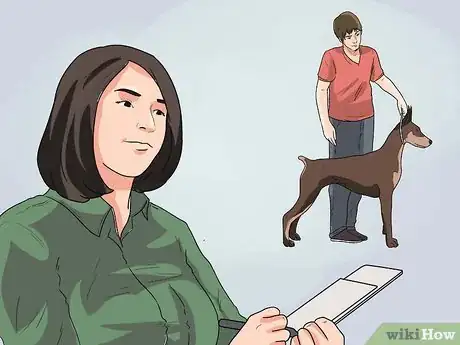 Imagen titulada Breed Dachshunds Step 5