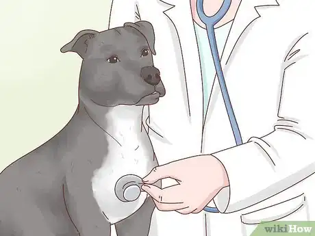 Imagen titulada Breed Pit Bulls Step 7
