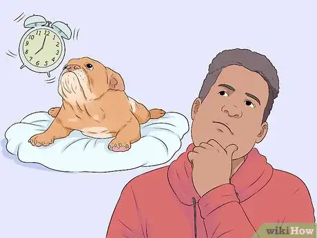 Imagen titulada Get Your Dog to Pee on Command Step 2