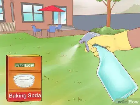 Imagen titulada Keep Dogs off Lawn Step 1