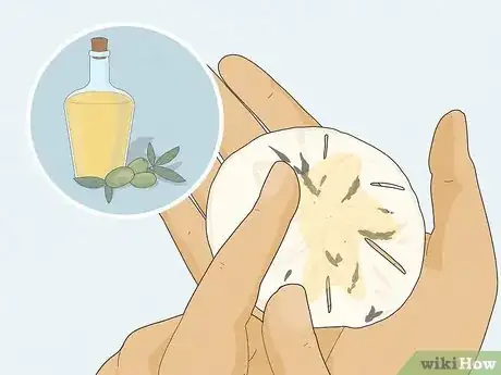 Imagen titulada Clean Sand Dollars Step 6