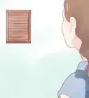 ahuyentar a las abejas