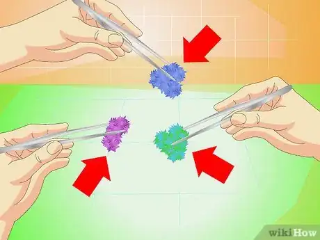 Imagen titulada Make Salt Crystals Step 18