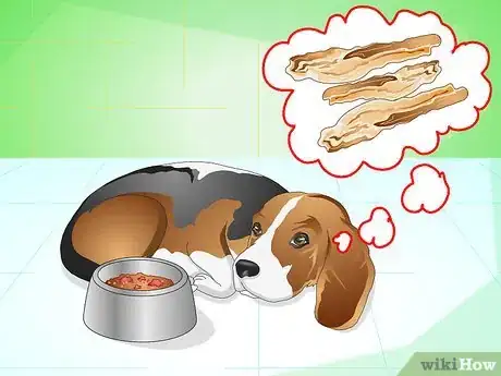 Imagen titulada Get Your Dog to Eat the Dog Food It Does Not Like Step 12