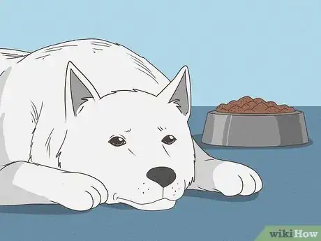 Imagen titulada Know When Your Dog is Sick Step 7