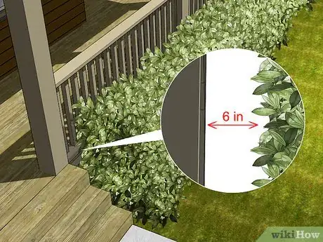 Imagen titulada Trim Shrubs Step 6