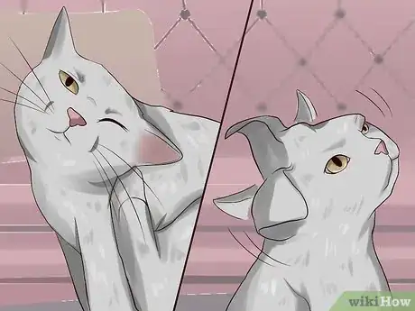 Imagen titulada Get Rid of Ear Mites in a Cat Step 2