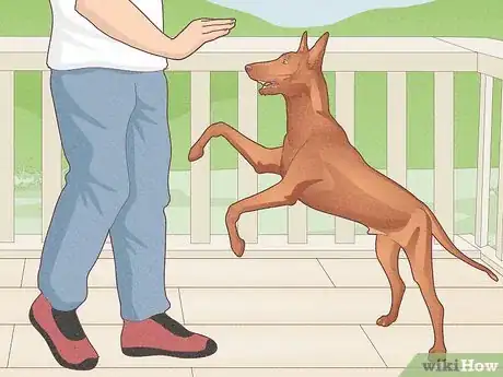 Imagen titulada Stop a Dog's Unwanted Behavior Step 12
