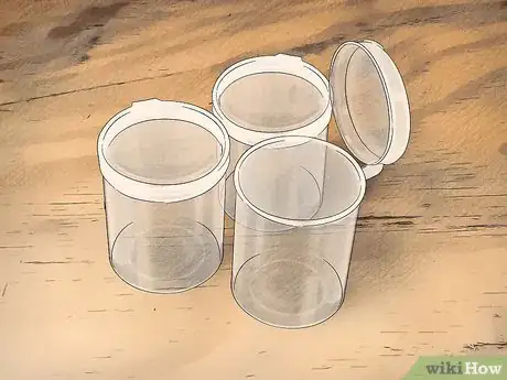 Imagen titulada Catch and Care for a Jumping Spider Step 4