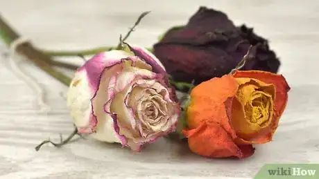 Imagen titulada Preserve Flowers in a Jar Step 5