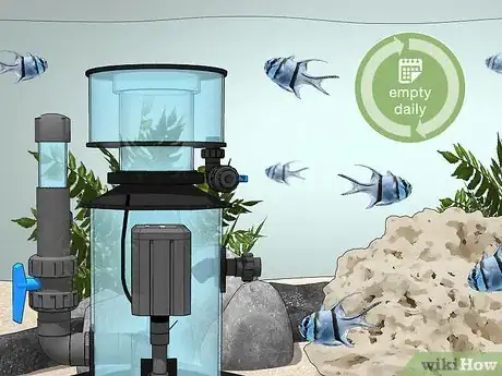 Imagen titulada Start a Saltwater Aquarium Step 37