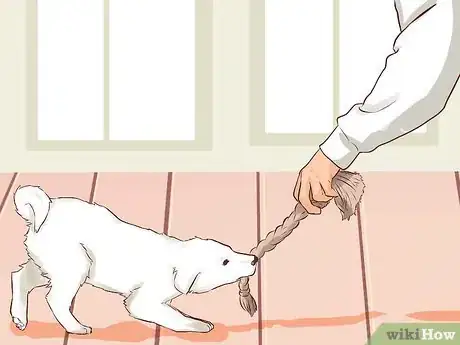 Imagen titulada Train a Puppy Not to Bite Step 3