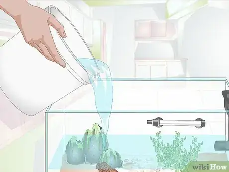 Imagen titulada Empty an Aquarium Step 11