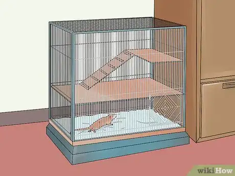 Imagen titulada Take Care of a Paralyzed Rat Step 6
