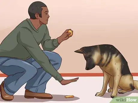 Imagen titulada Teach Your Dog Not to Get Into Garbage Cans Step 7