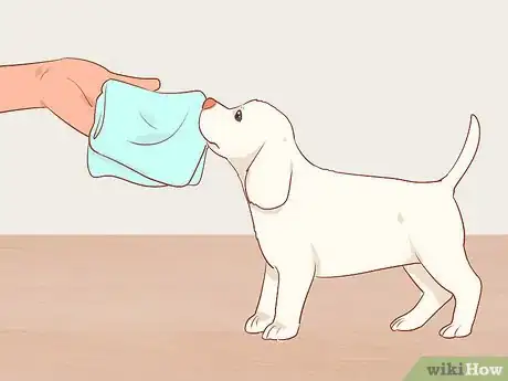 Imagen titulada Separate Puppies from their Mother Step 16