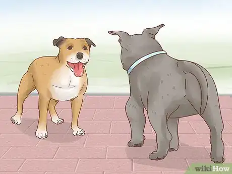 Imagen titulada Breed Pit Bulls Step 9