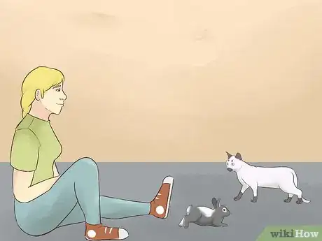 Imagen titulada Keep a Rabbit and a Cat Step 7