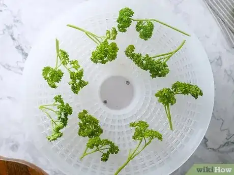 Imagen titulada Dry Parsley Step 13