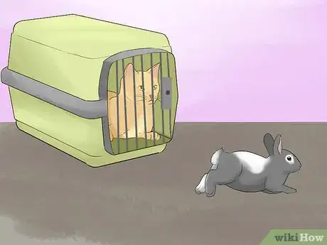 Imagen titulada Keep a Rabbit and a Cat Step 6