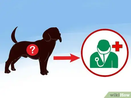 Imagen titulada Identify a Beagle Step 10