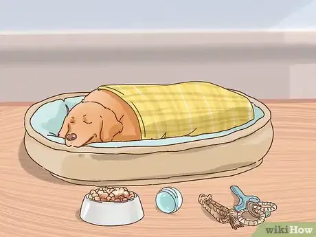Imagen titulada Cope With Having a Dog Put Down Step 4