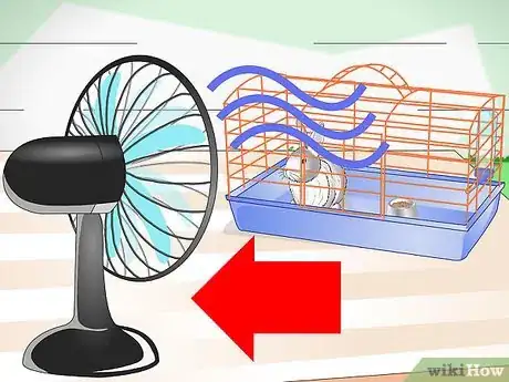Imagen titulada Keep Pet Rabbits Cool Step 2