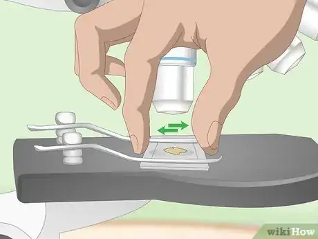 Imagen titulada Use a Light Microscope Step 6