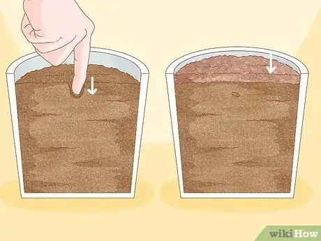 Imagen titulada Plant a Seed in a Pot Step 5