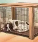 hacer que tu perro se duerma