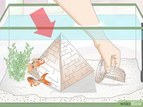 Imagen titulada Creatively Decorate a Freshwater Fish Tank Step 6