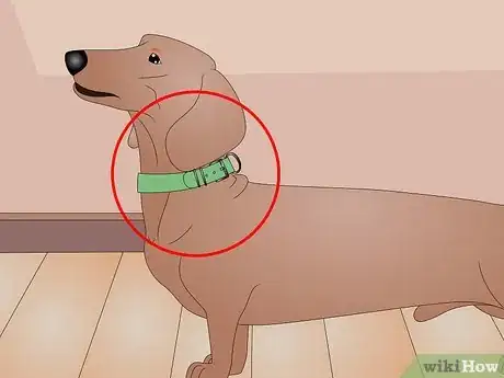 Imagen titulada Make a Dog Coat Step 30