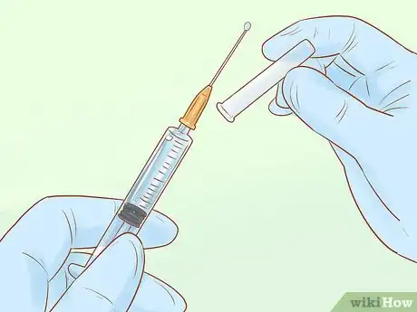 Imagen titulada Administer Insulin to a Cat Step 11